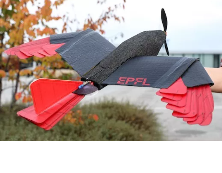epfl.png